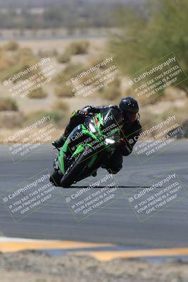 media/May-14-2023-SoCal Trackdays (Sun) [[024eb53b40]]/Turn 5 Tree of Life (1125am)/